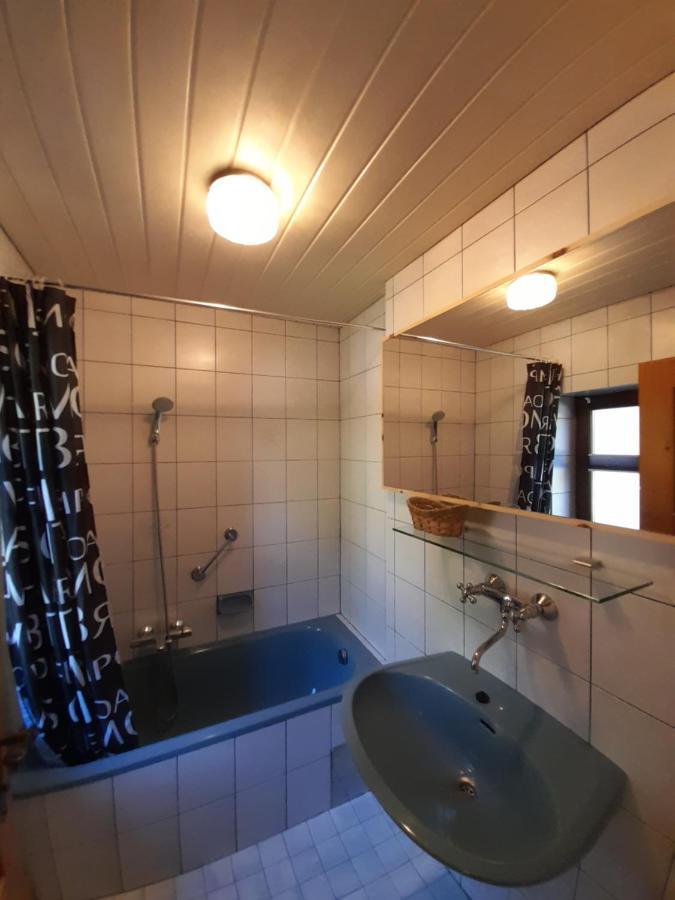 Apartamento Miniponyhof Biohof Almbauer Waidhofen an der Ybbs Exterior foto