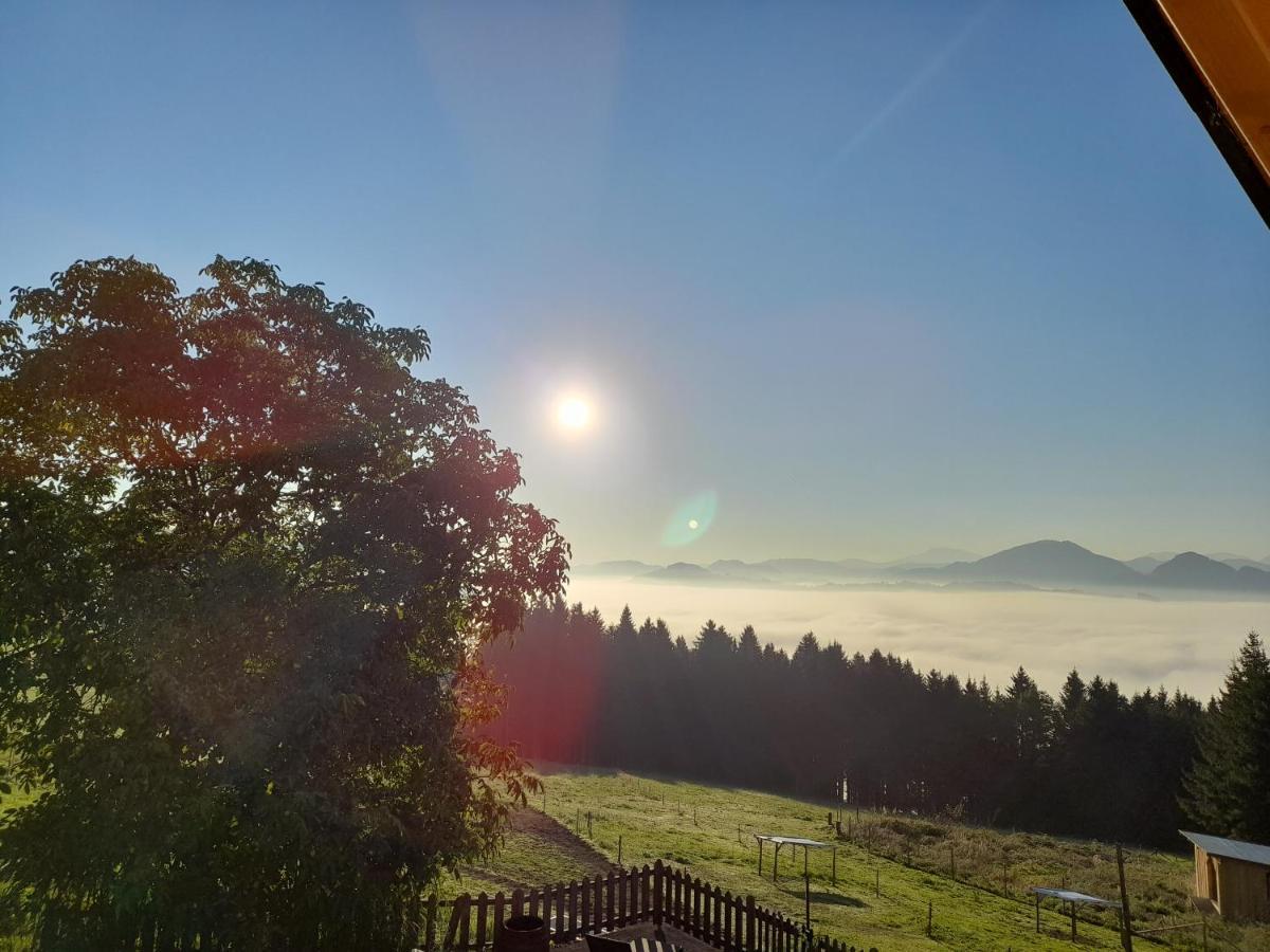 Apartamento Miniponyhof Biohof Almbauer Waidhofen an der Ybbs Exterior foto