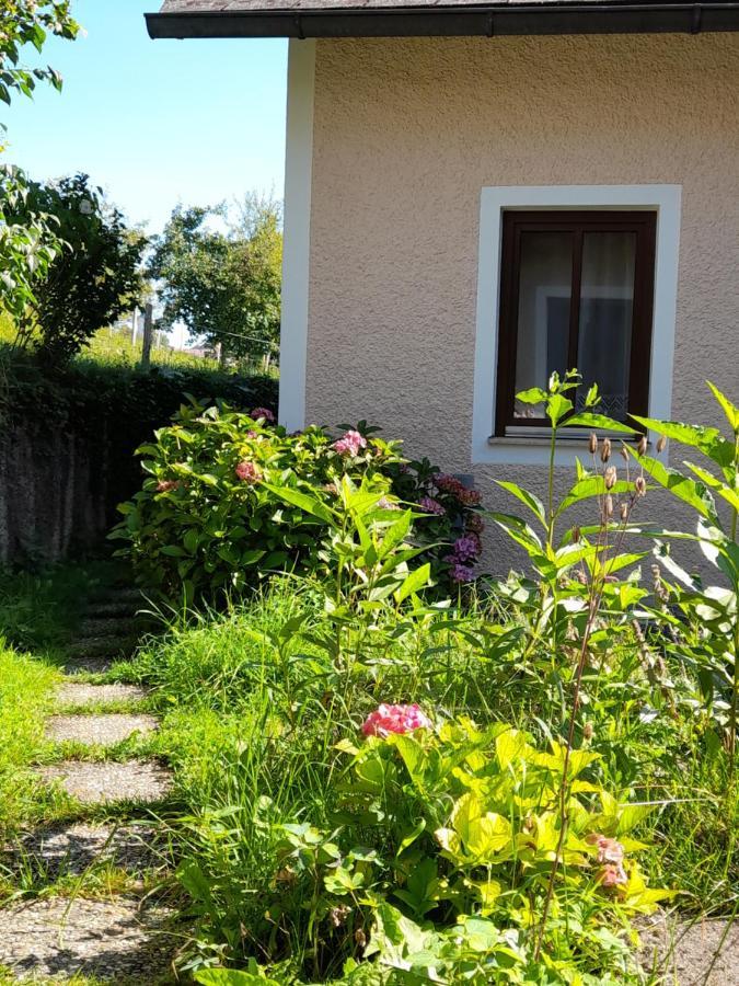 Apartamento Miniponyhof Biohof Almbauer Waidhofen an der Ybbs Exterior foto