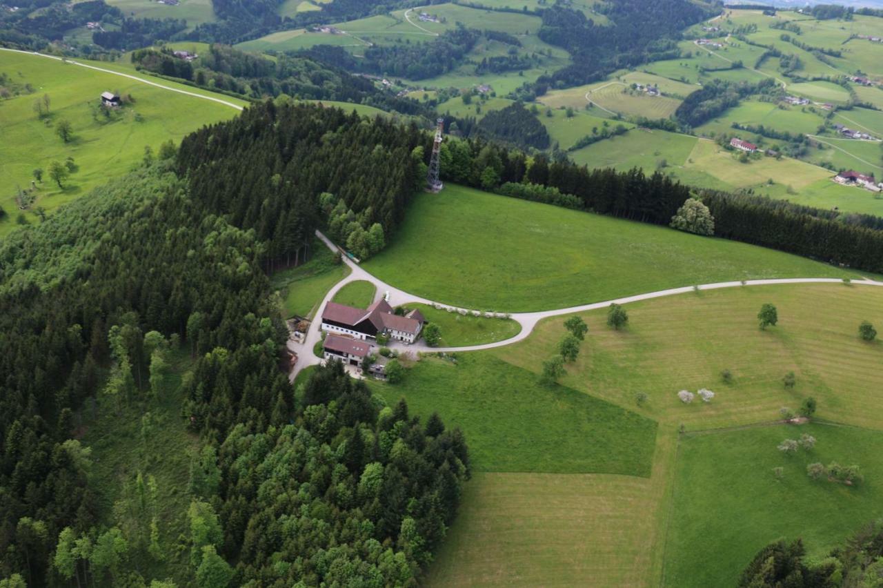 Apartamento Miniponyhof Biohof Almbauer Waidhofen an der Ybbs Exterior foto