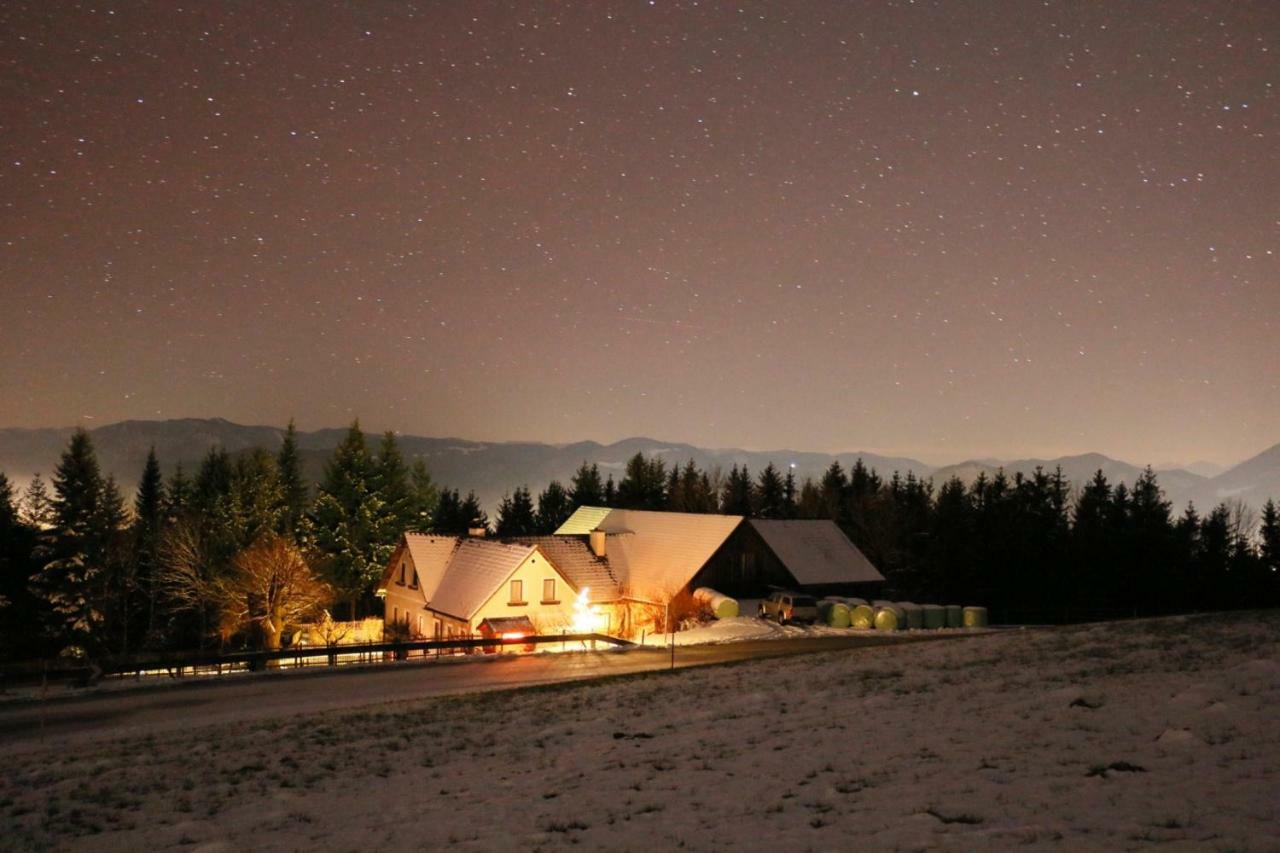 Apartamento Miniponyhof Biohof Almbauer Waidhofen an der Ybbs Exterior foto